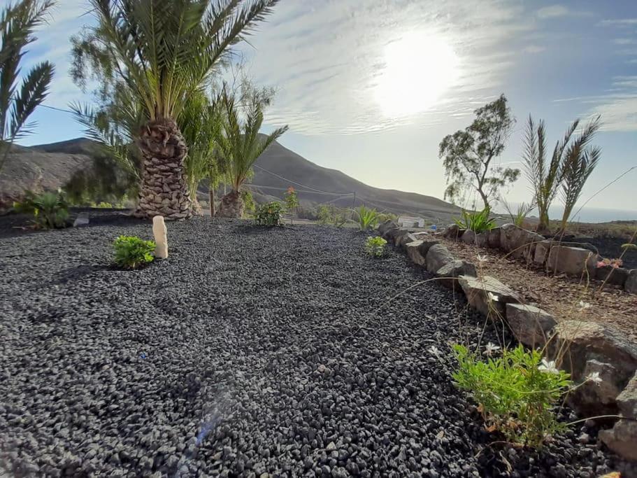 PájaraCasagrande Sunset II - Fuerteventura - Costa Calma别墅 外观 照片